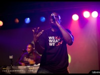 ModelloVett